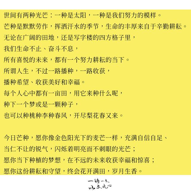 赞美百合花励志的句子大全 赞美百合花励志的句子大全