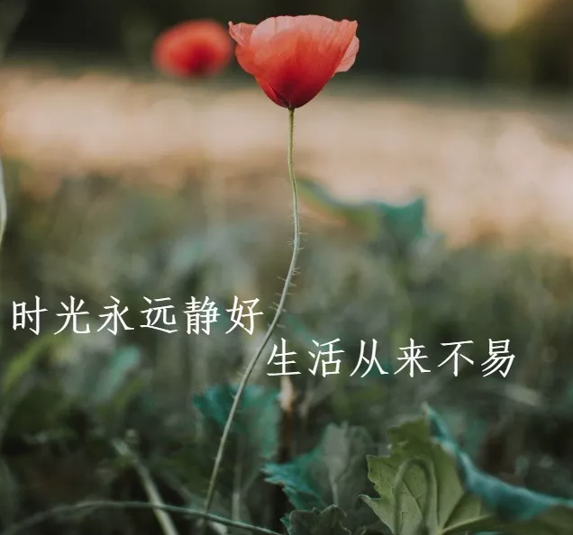适合发朋友圈的人生哲理经典语句句句触动人心-句子橘