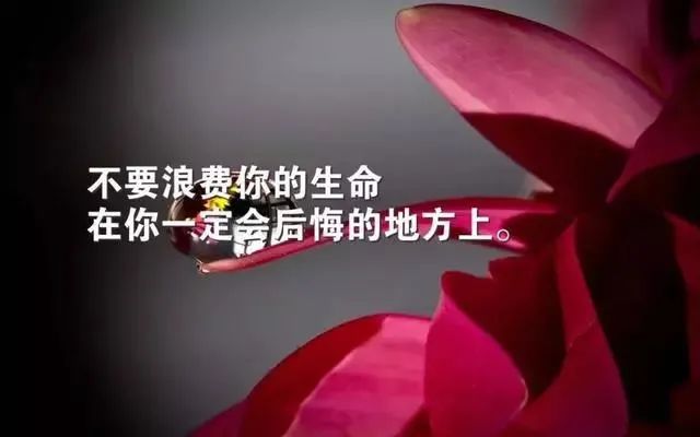 适合发朋友圈的人生哲理经典语句句句触动人心-句子橘