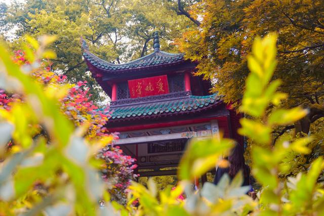赞美春天的句子或词 赞美春天的句子或词