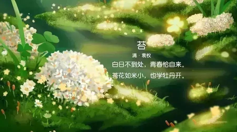 对人生苦难的看法的唯美句子_(人生累的最经典的句子)