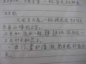 优美句子摘抄 小学生_(优美句子短句)