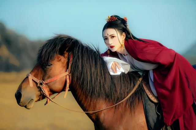 赞美马的经典励志句子 赞美马的经典励志句子