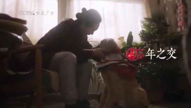 赞美警犬的句子成语