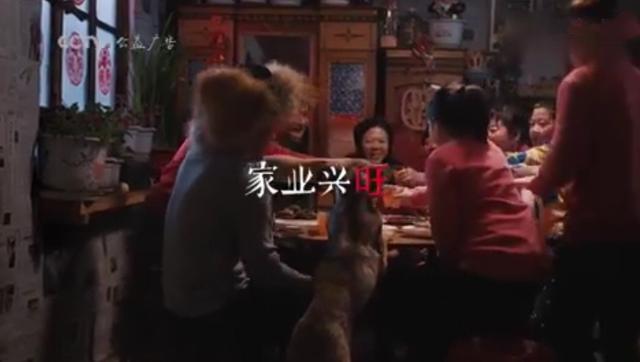 赞美警犬的句子成语
