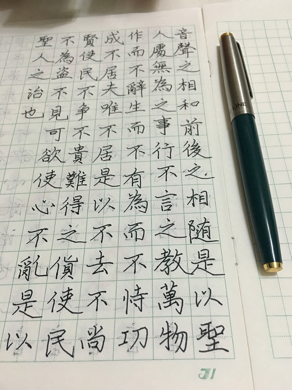 赞美别人书法写得好的句子_(书法评语大全)
