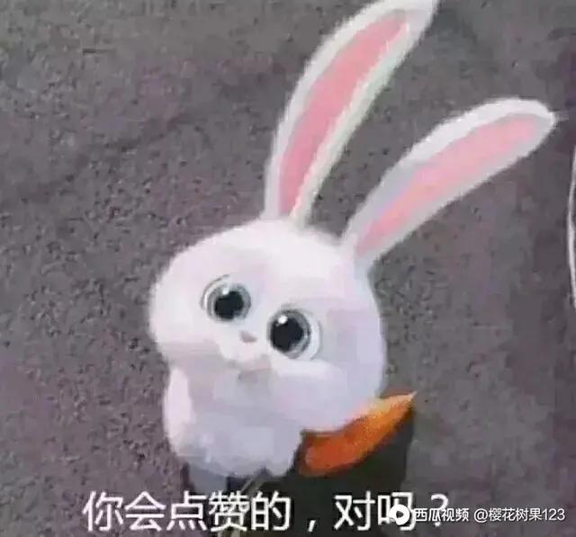 赞美肖战的句子英语 赞美肖战的句子英语