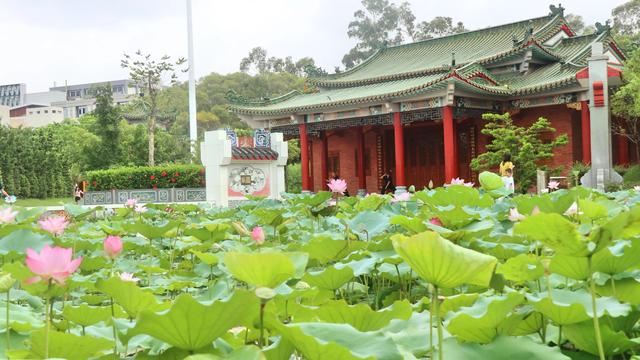 赞美家乡的句子二年级 赞美家乡的句子二年级