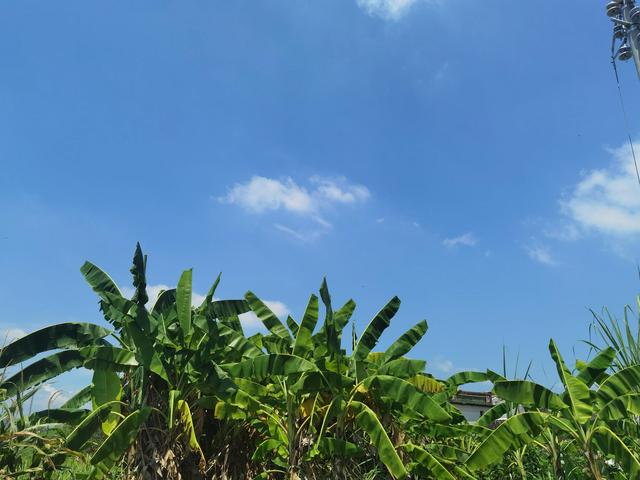 赞美家乡的句子二年级 赞美家乡的句子二年级