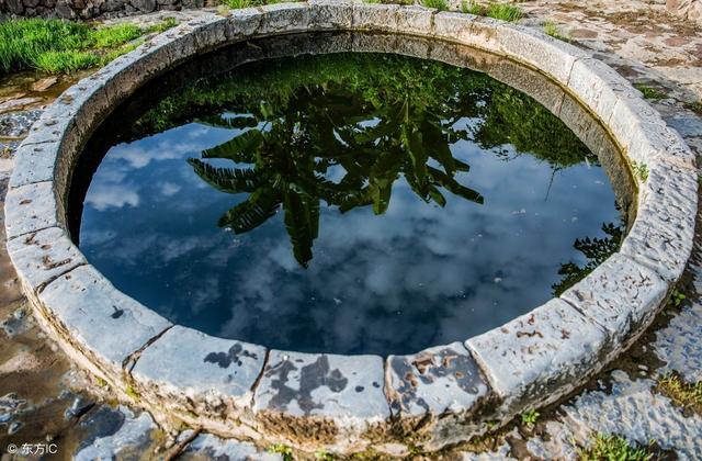 名家美文共欣赏:朱以撒散文《枝头消息》等2篇