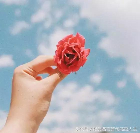 总有一个人,温暖你生命(美文)