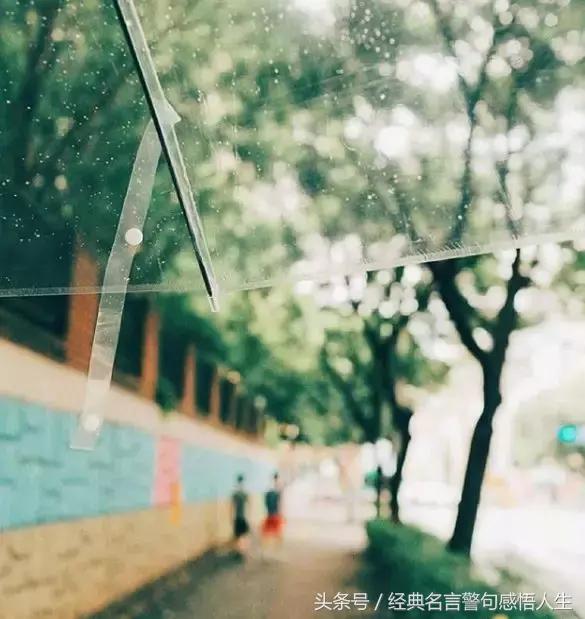 总有一个人,温暖你生命(美文)