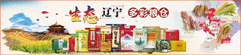 「副刊·美文」正月十五闹元宵