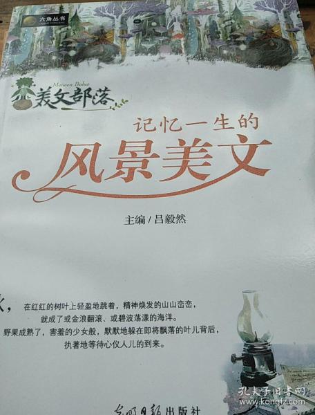小学生精选美文180字左右励志向上(美文摘抄100字 励志)