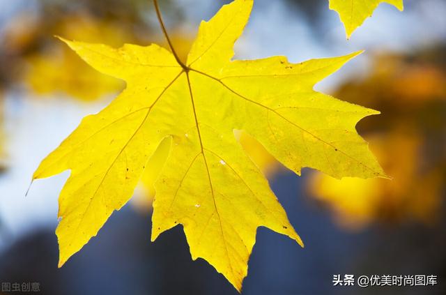形容季节过得很快的句子 形容季节过得很快的句子