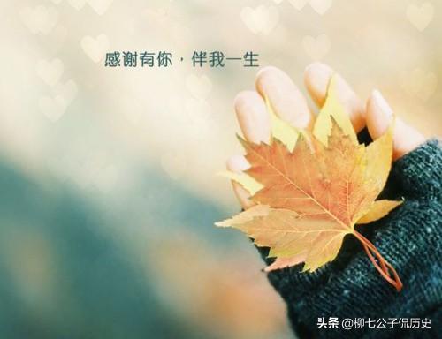 遇见你,才是我的花样年华,感恩遇见,感谢有你!(深度美文)