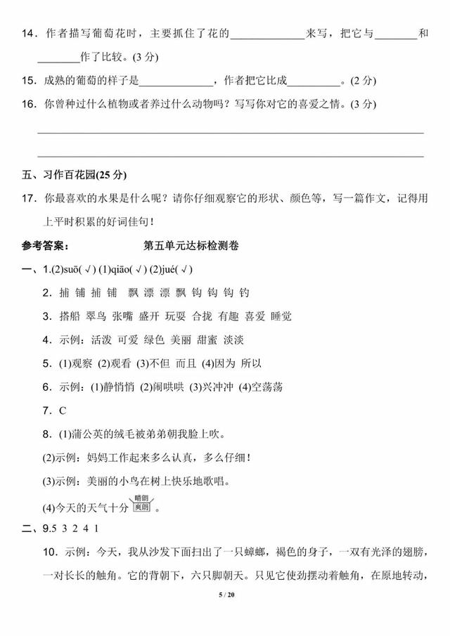 夏天是万物迅速生长的季节仿写句子