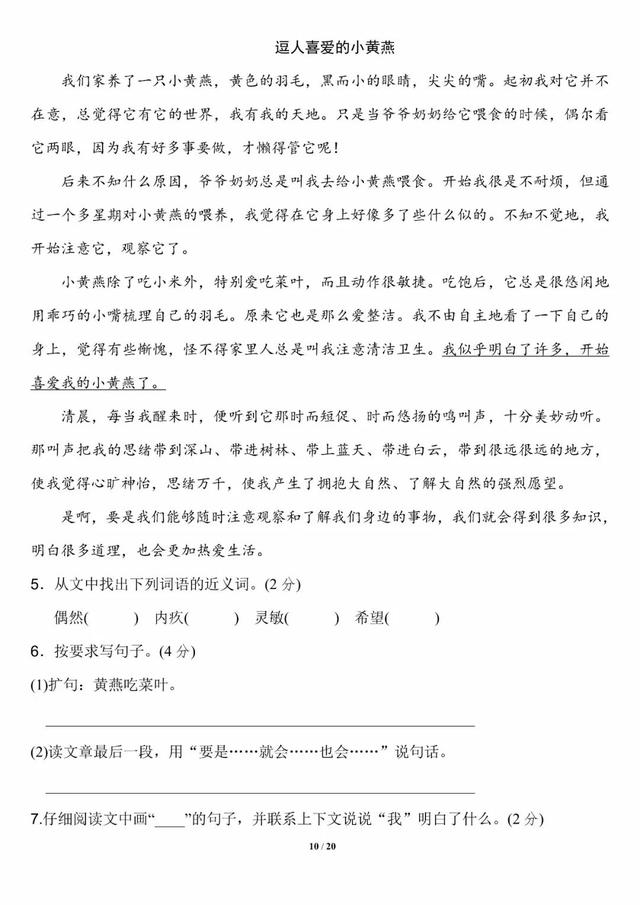 夏天是万物迅速生长的季节仿写句子