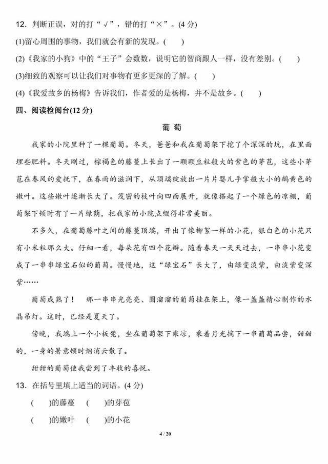 夏天是万物迅速生长的季节仿写句子
