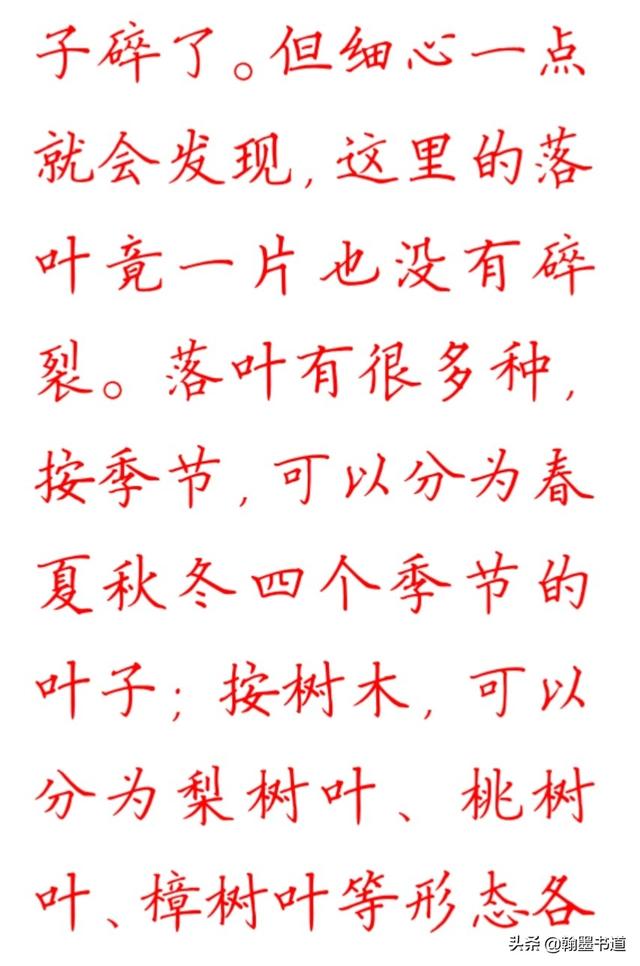 硬笔书法集字作品:徐志摩散文《落叶》
