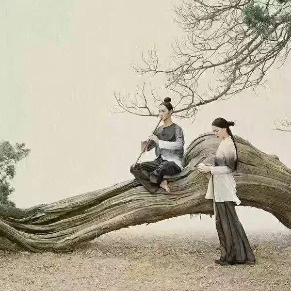 美文美句图片上的文字