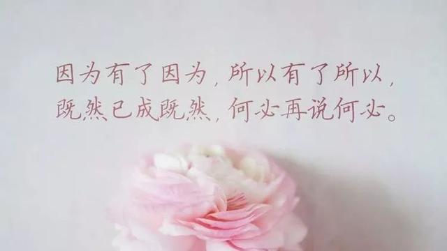 美文美句图片上的文字