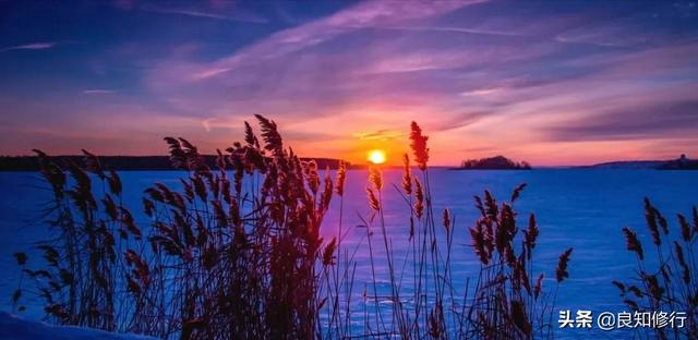 精选美文100句:谁与我醉明月,愁在夕阳中