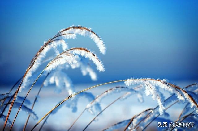 精选美文100句:谁与我醉明月,愁在夕阳中