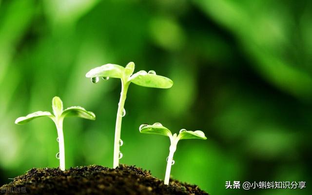 描写季节的好句子赏析 描写季节的好句子赏析