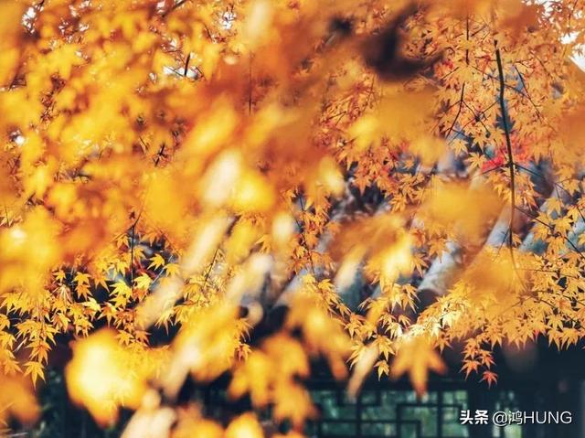 赞美初冬季节的句子