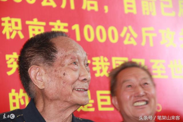 袁隆平：在深深浅浅的稻田里，踩出深深浅浅的伟大人生（美文）