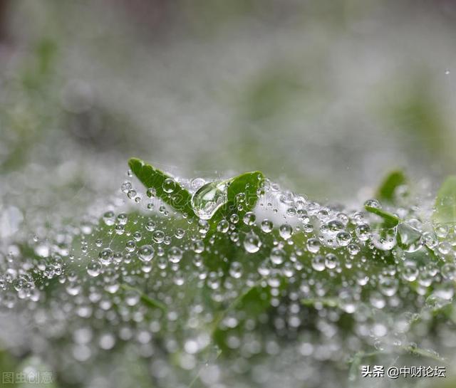 美文精选:雨从雾海中来