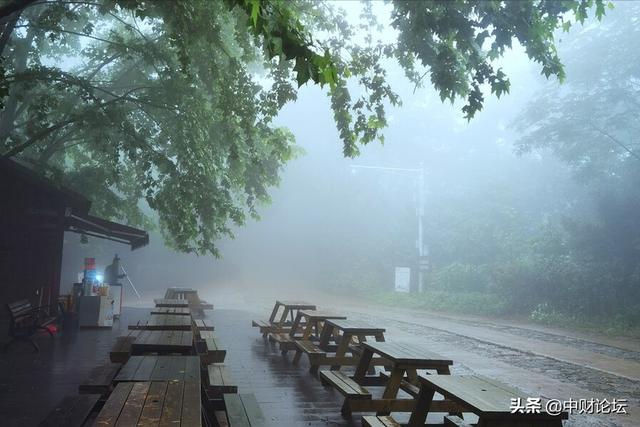 美文精选:雨从雾海中来