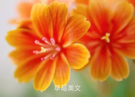 2020，人生相册，看完顿悟！（句句值得珍藏）