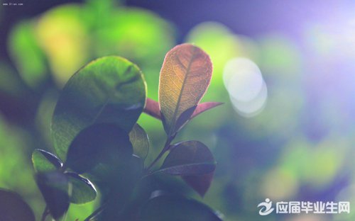 风景美文美句唯美简短_(享受大自然的心情说说)