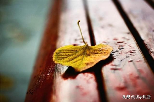 秋冬季节景色的句子 秋冬季节景色的句子