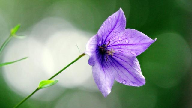 形容五月季节的句子 形容五月季节的句子