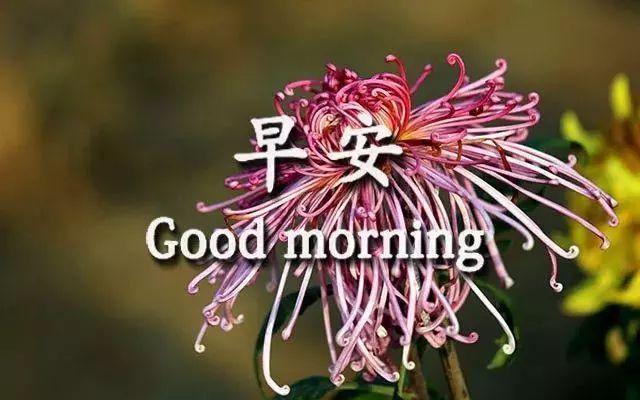 季节变换注意问候句子 季节变换注意问候句子