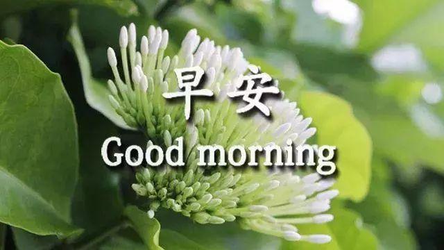 季节变换注意问候句子 季节变换注意问候句子