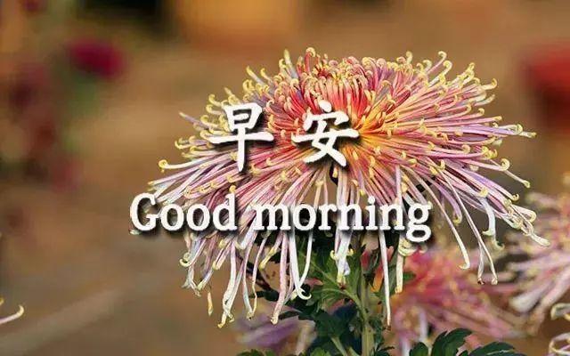 季节变换注意问候句子 季节变换注意问候句子
