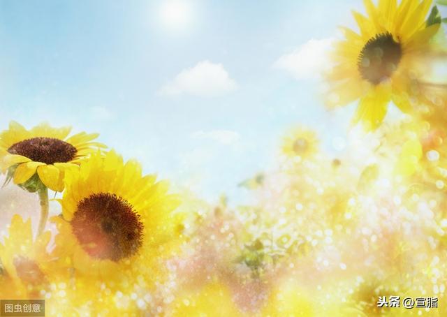 描写季节景色的句子30字 描写季节景色的句子30字
