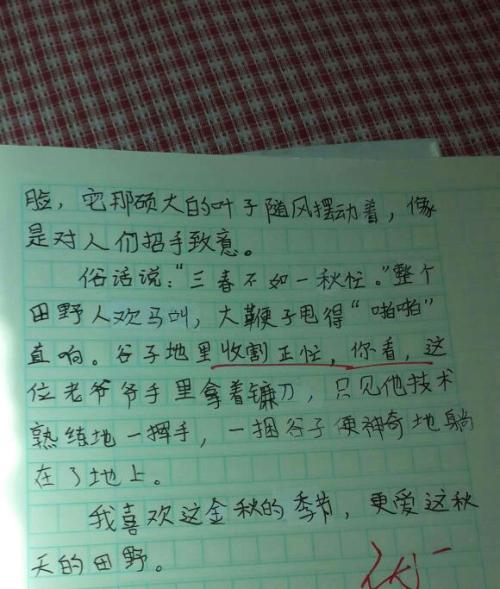 精选美文150字(150字美文摘抄加赏析)