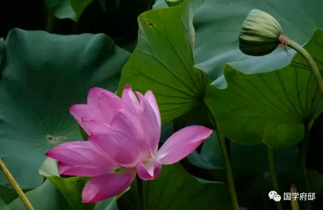 形容五月季节的句子 形容五月季节的句子