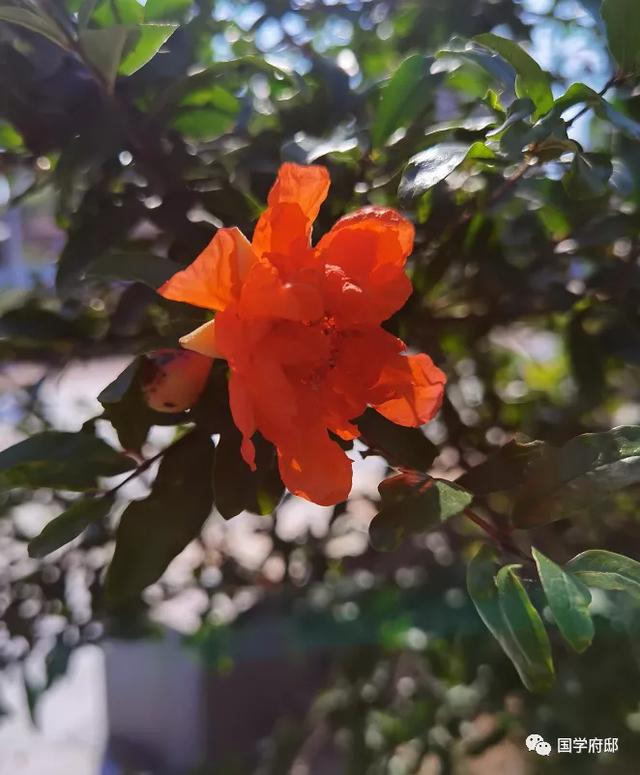 形容五月季节的句子 形容五月季节的句子