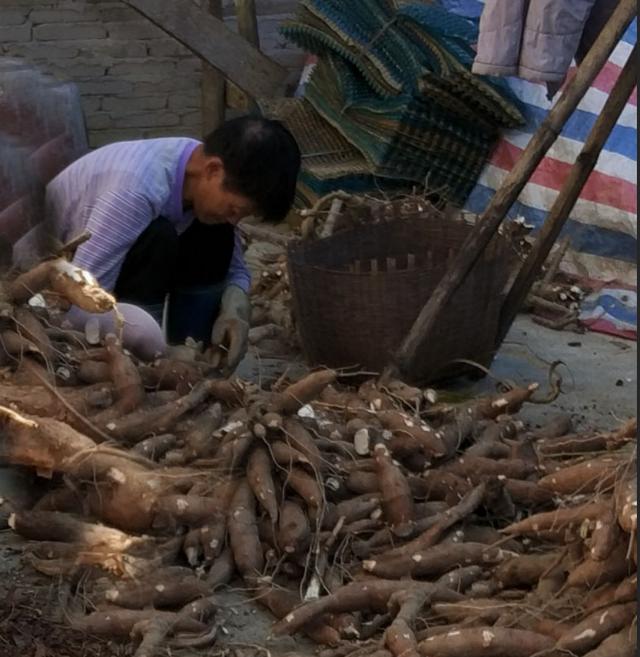 我的母亲——谨以此文献给我辛劳一生的母亲(写于母亲生日前夕)