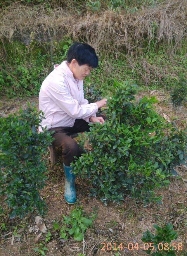 我的母亲——谨以此文献给我辛劳一生的母亲(写于母亲生日前夕)