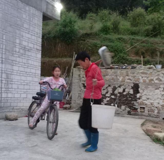 我的母亲——谨以此文献给我辛劳一生的母亲(写于母亲生日前夕)