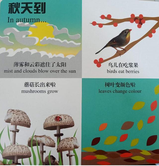 春天与其他季节对比句子 春天与其他季节对比句子