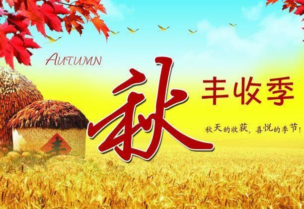 丰收季节的优美句子 丰收季节的优美句子
