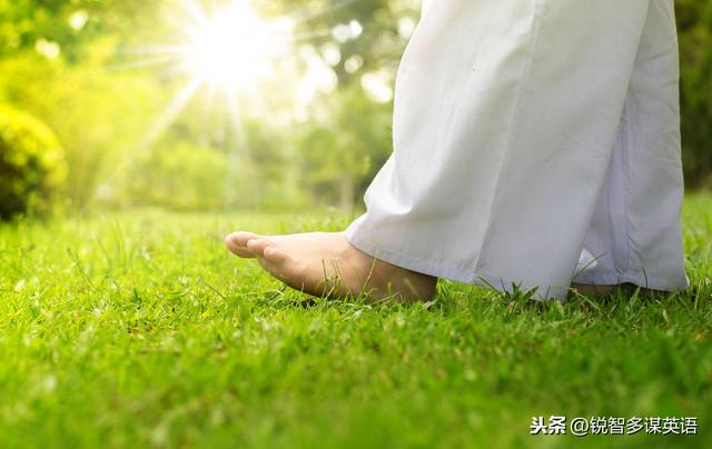 生命的美好·英语美文听力(中英双语文本)